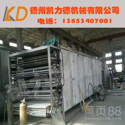 食品銷售行業(yè)的高效助手 大型網(wǎng)帶式干燥機廠家直銷