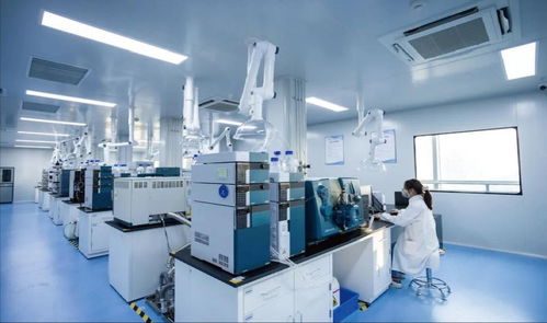 中原科技城 生命科學產業(yè)新引擎，技術服務驅動未來健康新變革